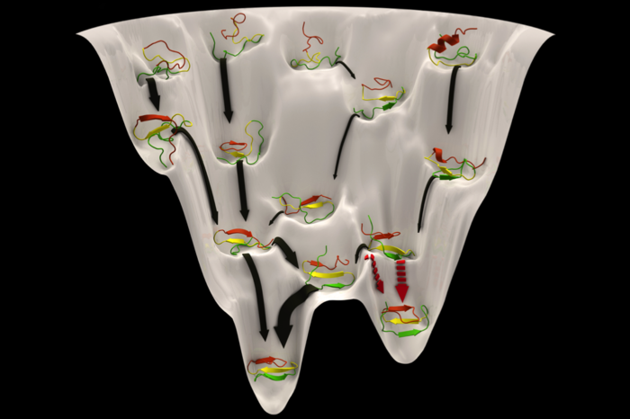 pnas_cover_reduced_FrankNoe_3_2